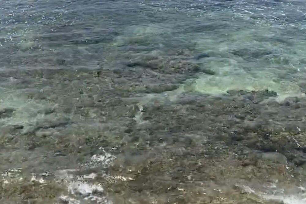 Photo of Others in Diamond Head - Kapahulu - St. Louis