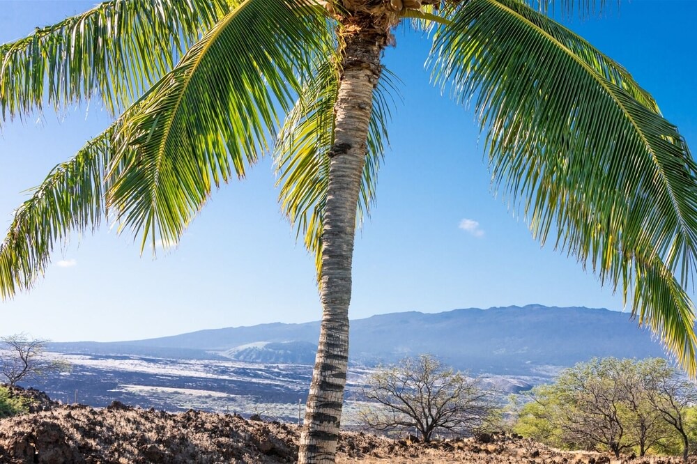Photo of Others in Kulalani