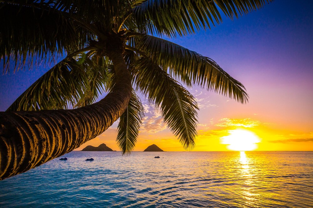 Photo of Others in Waikiki