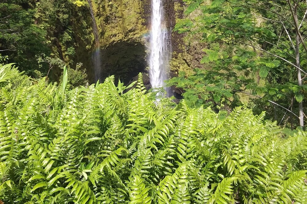Photo of Outdoor in Kona Palisades