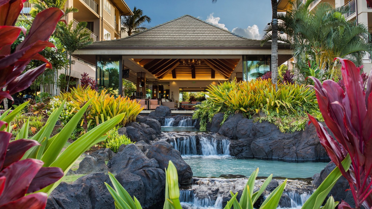 Photo of Others in Poipu