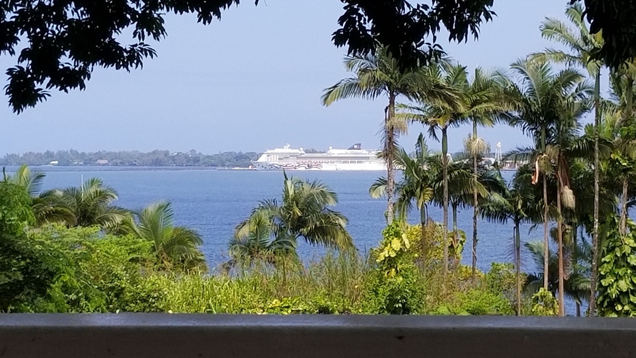 Photo of Outdoor in Hilo