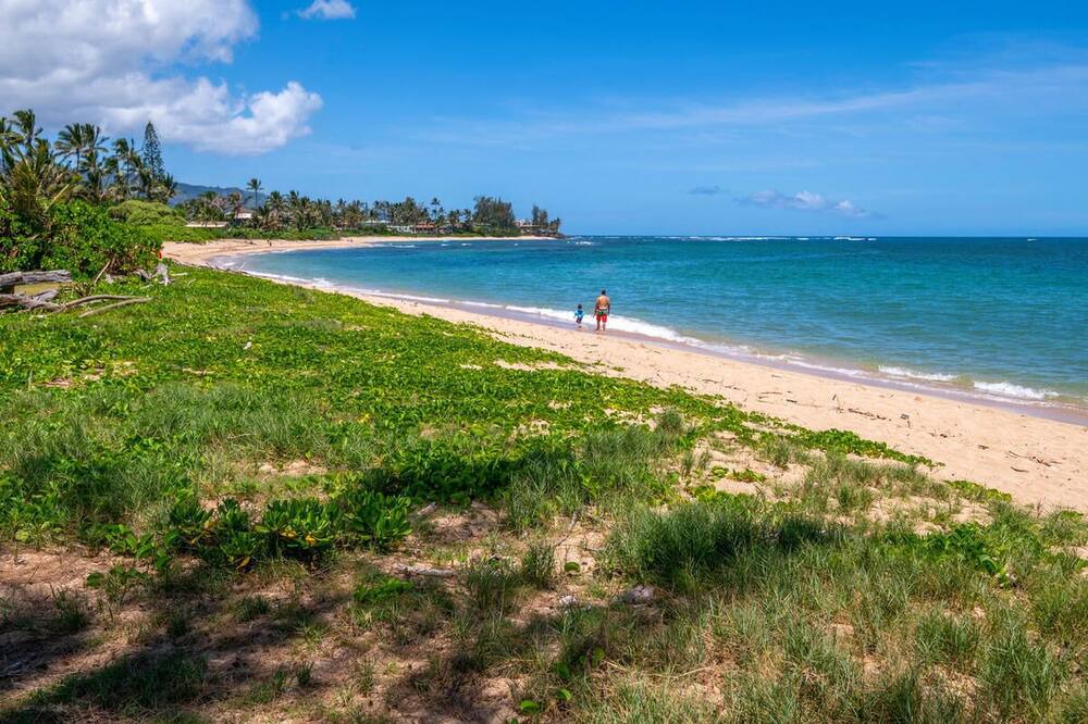 Photo of Others in Waialua