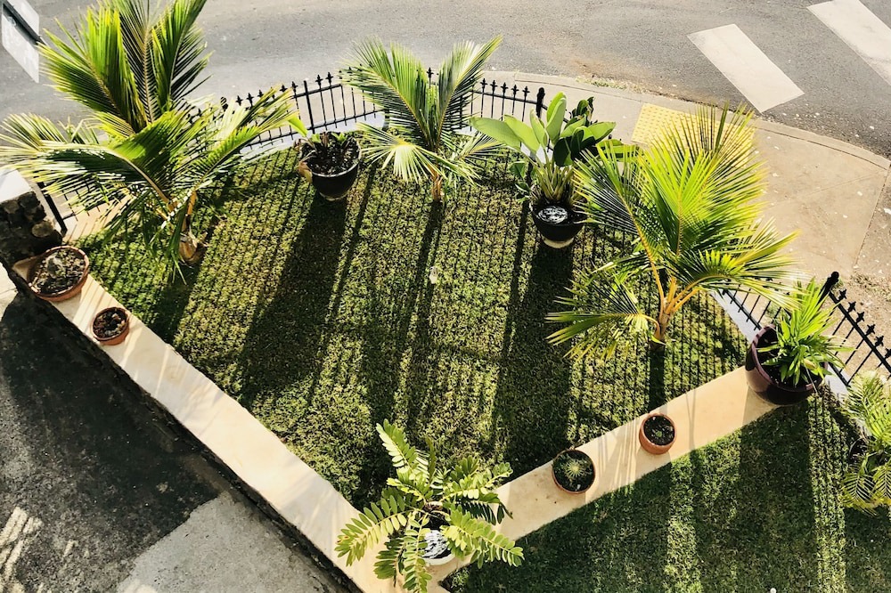 Photo of Outdoor in Downtown Honolulu