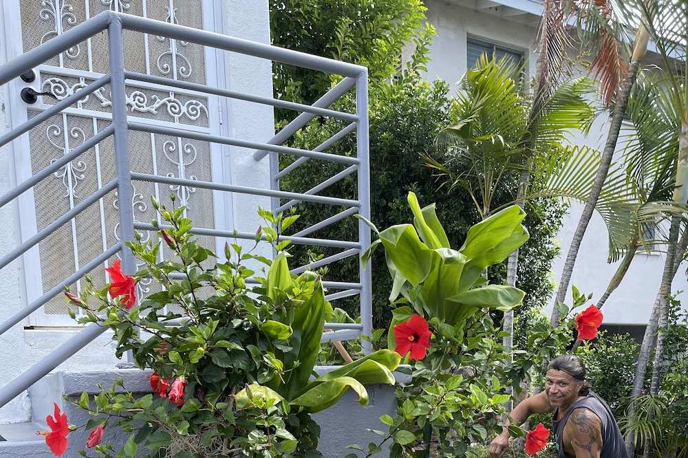 Photo of Outdoor in Downtown Honolulu