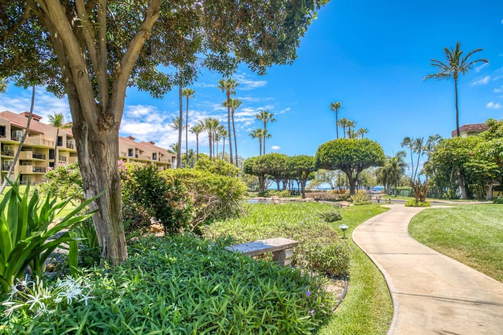 Photo of Outdoor in Kihei