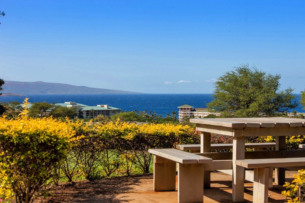 Photo of Outdoor in Wailea