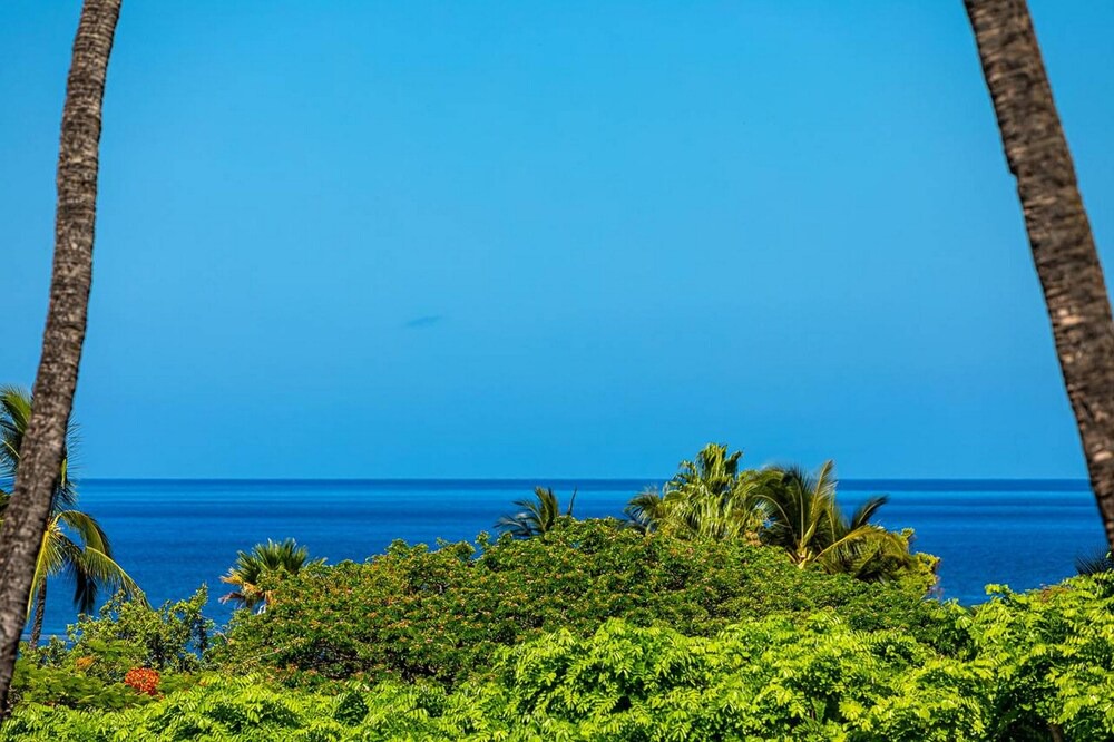 Photo of Others in Kihei