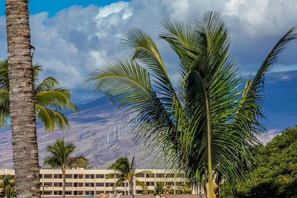 Photo of Outdoor in Kihei