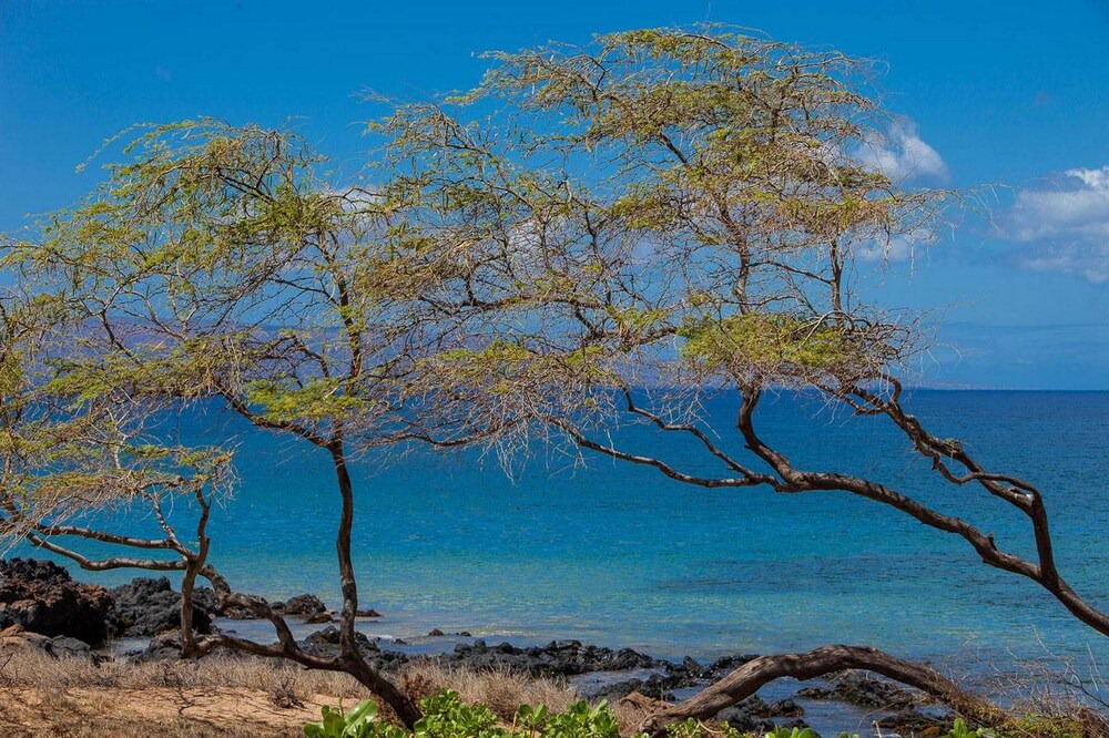 Photo of Outdoor in Kihei