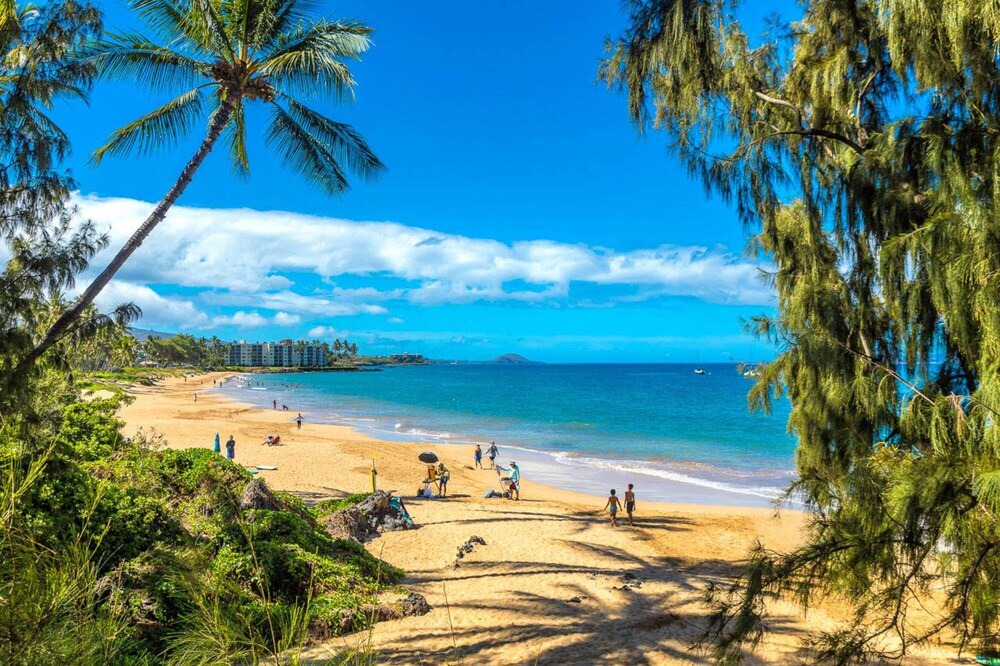 Photo of Outdoor in Kihei