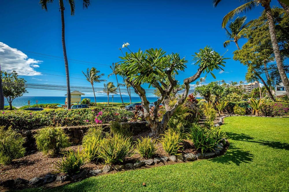 Photo of Outdoor in Kihei