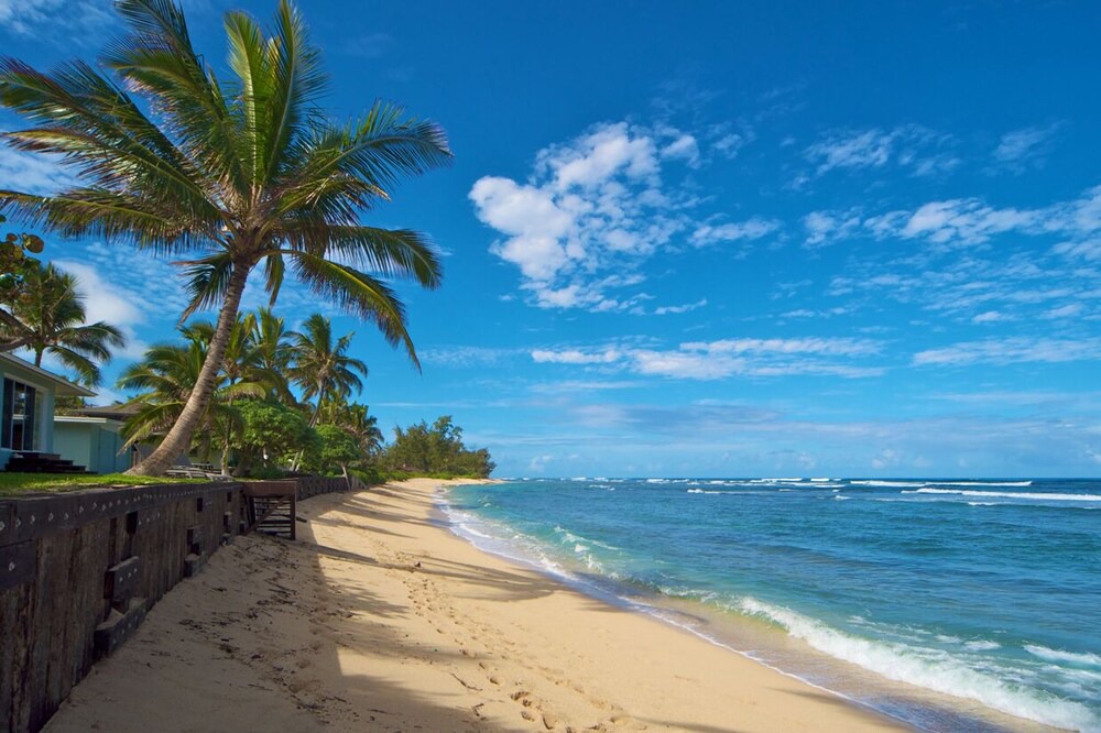 Photo of Others in Mokuleia