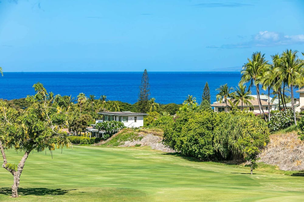 Photo of Others in Wailea