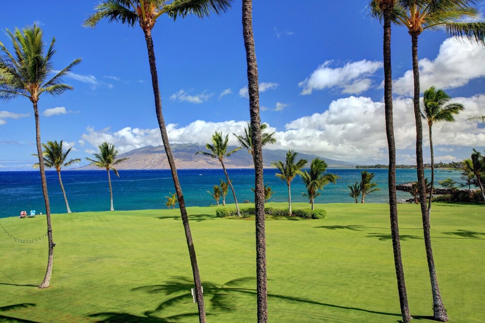 Photo of Outdoor in Kihei