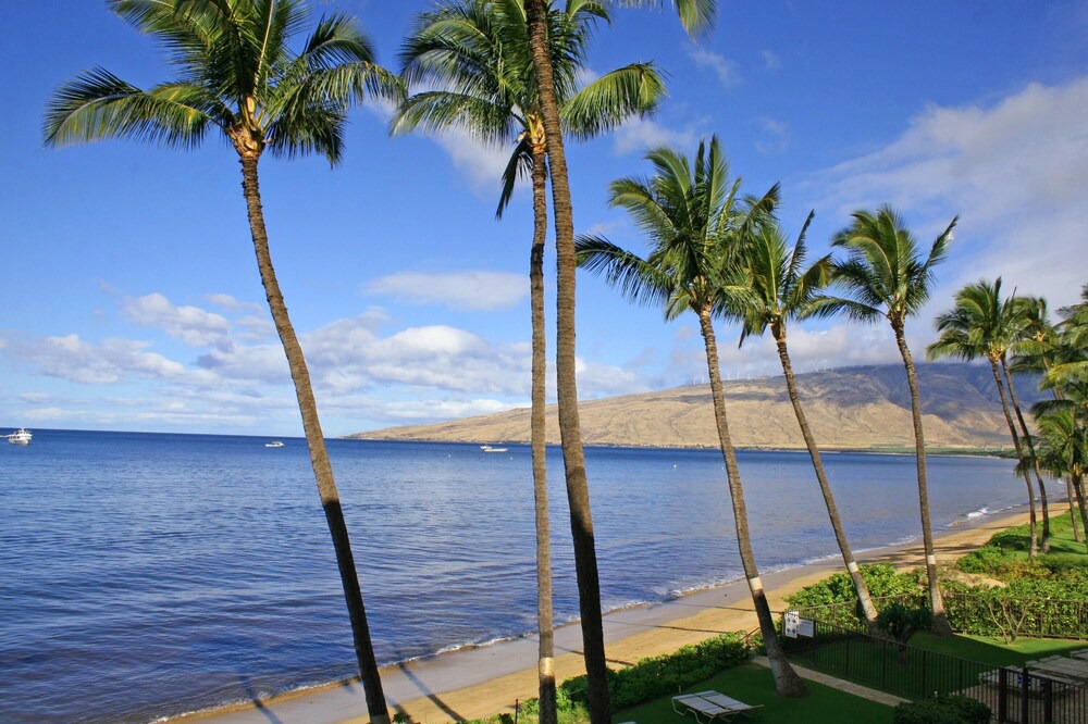 Photo of Outdoor in Kihei