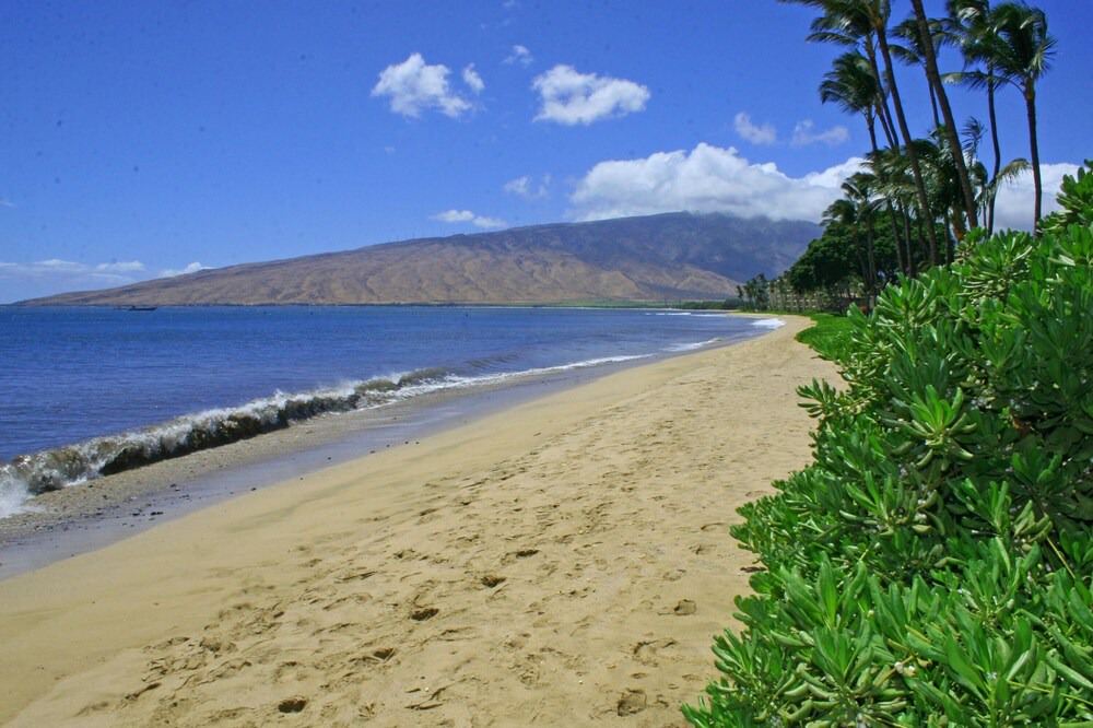 Photo of Outdoor in Kihei