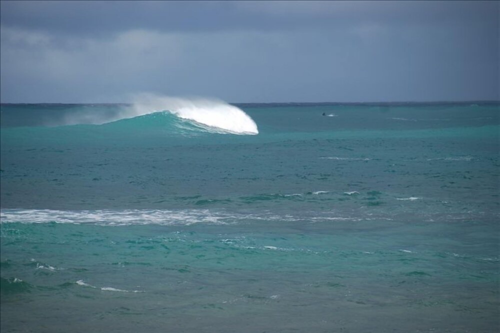 Photo of Others in Pupukea
