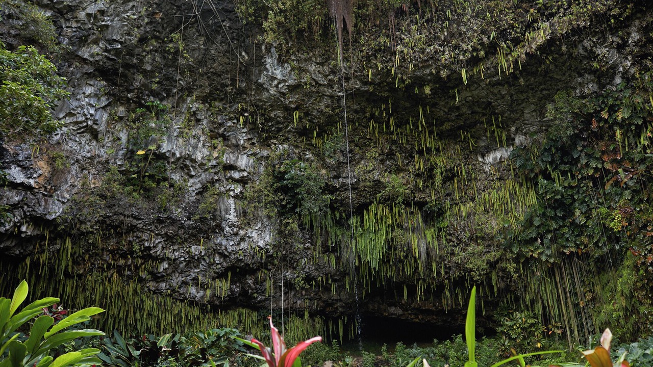 Photo of Outdoor in Anahola