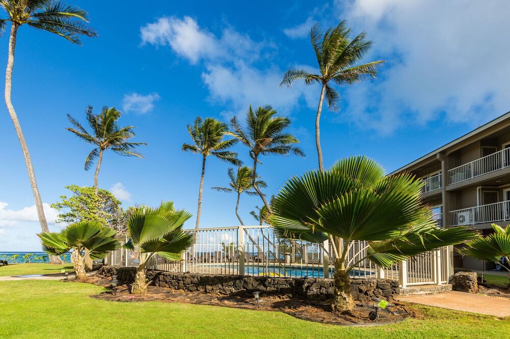 Photo of Outdoor in Kapaa