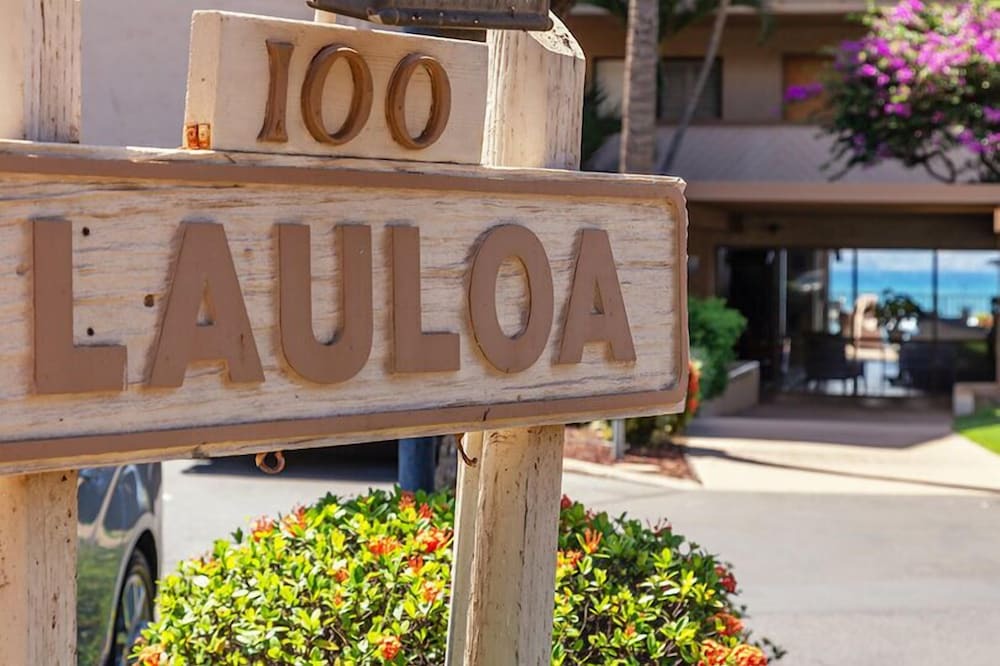 Photo of Others in Maalaea