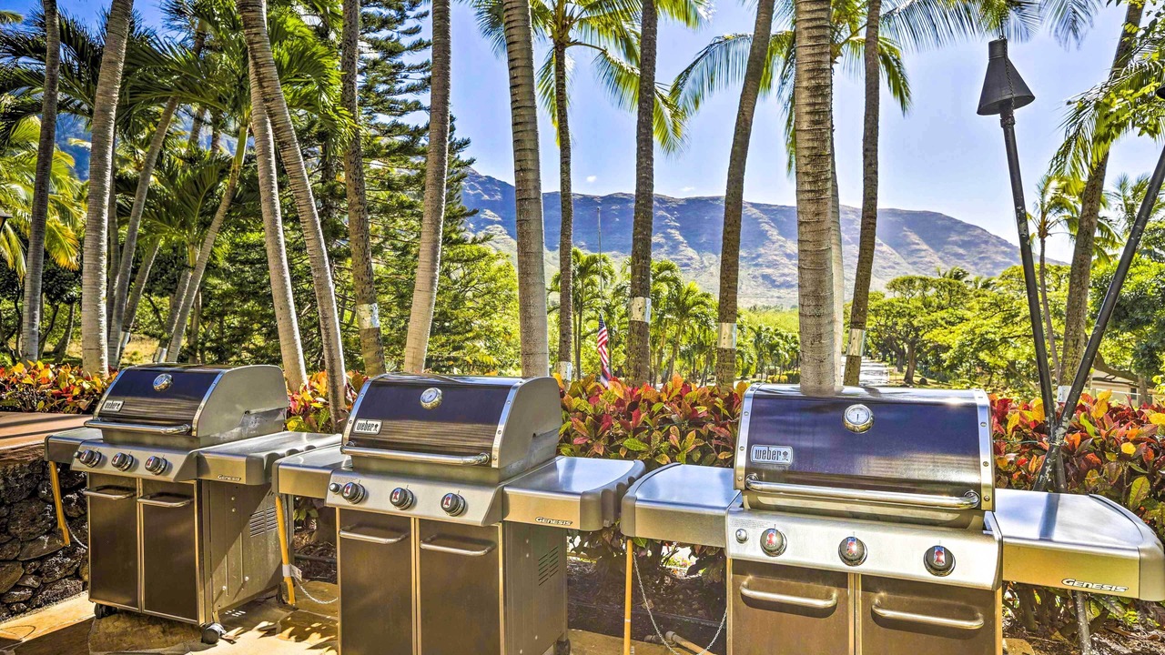Photo of Outdoor in Makaha