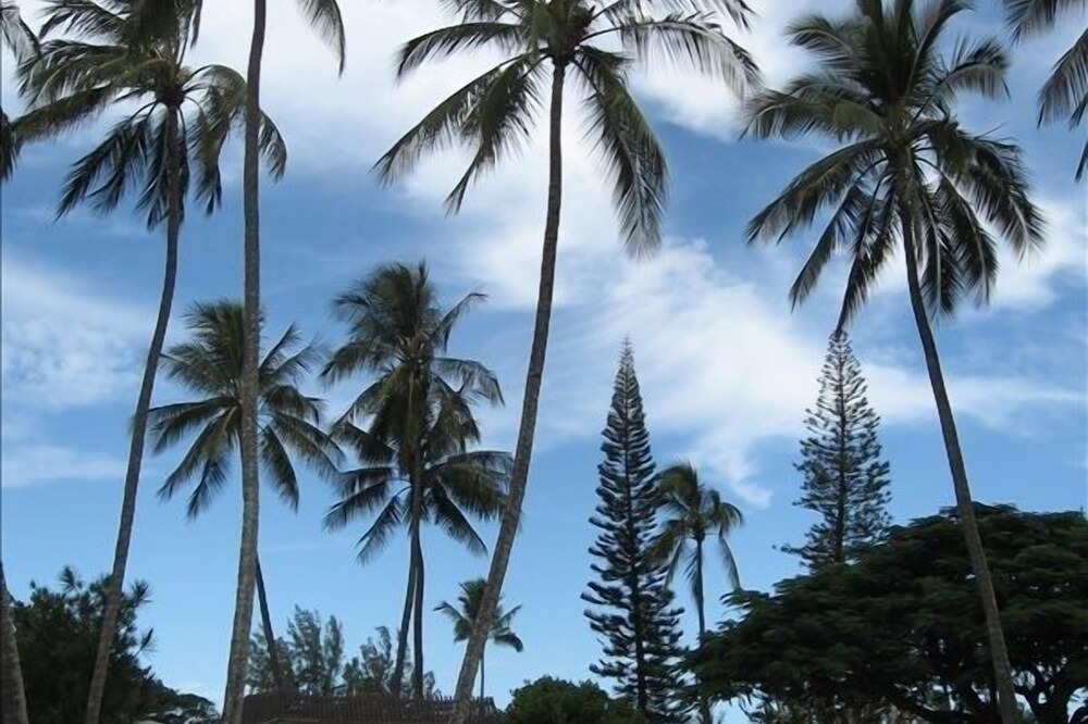 Photo of Outdoor in Waialua