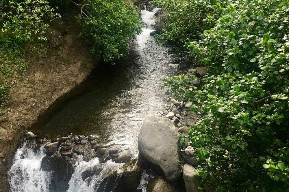 Photo of Outdoor in Kihei