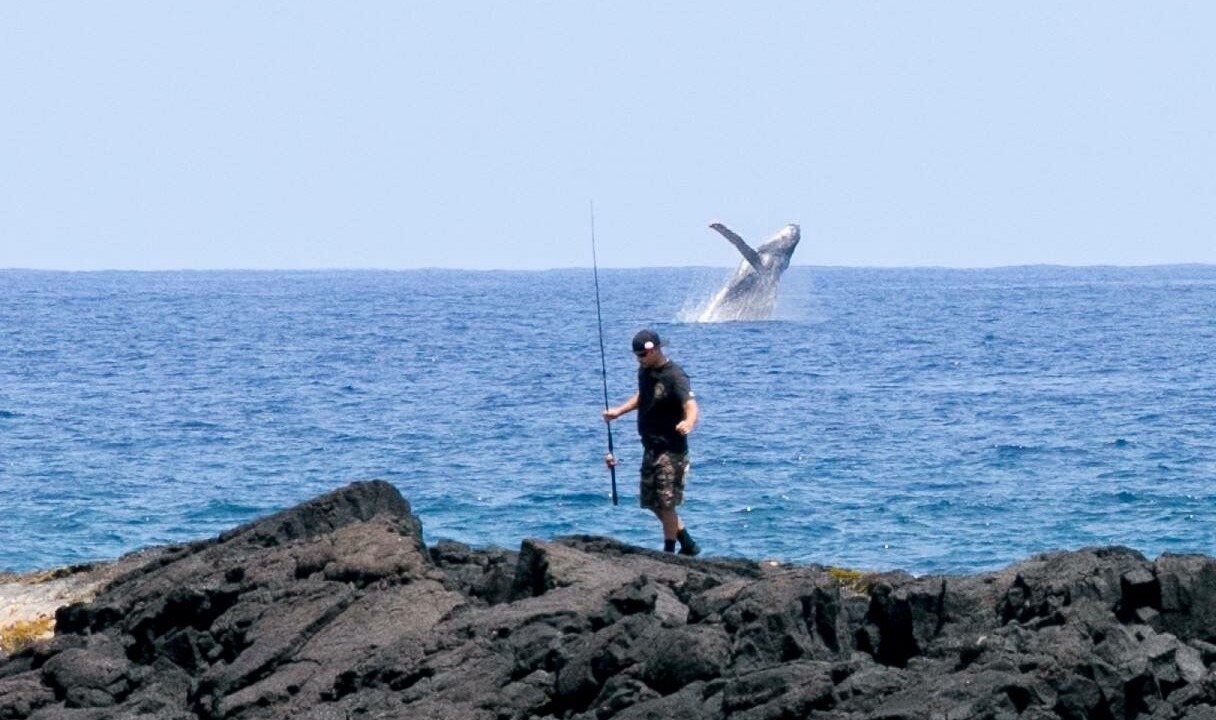 Photo of Others in Keaau