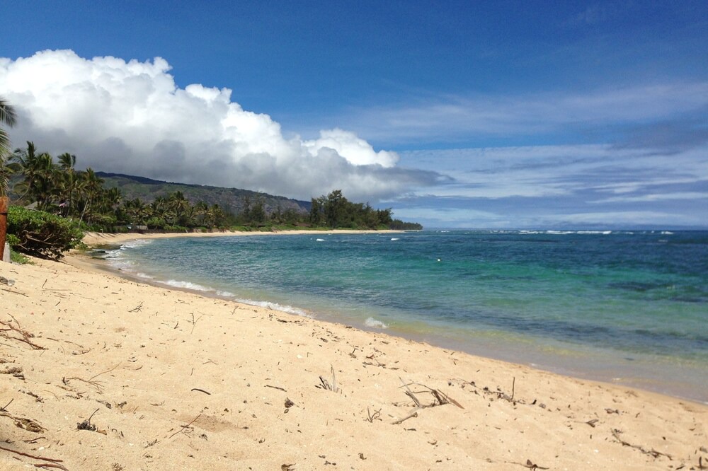 Photo of Others in Mokuleia