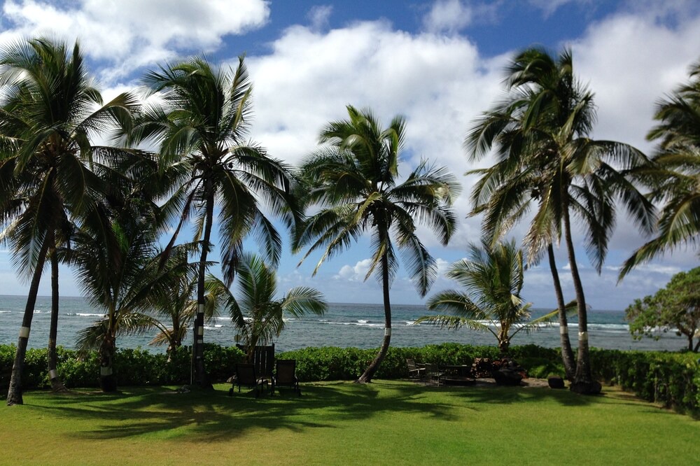 Photo of Others in Mokuleia