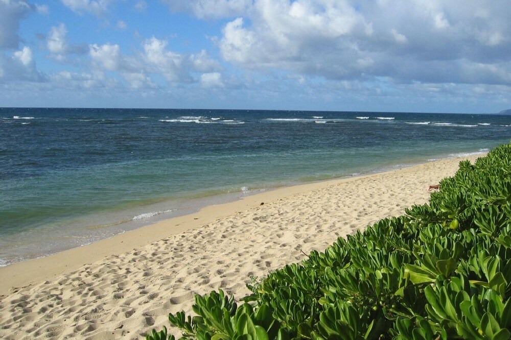 Photo of Others in Mokuleia