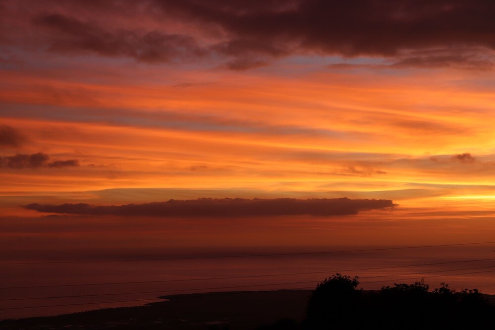 Photo of Others in Holualoa