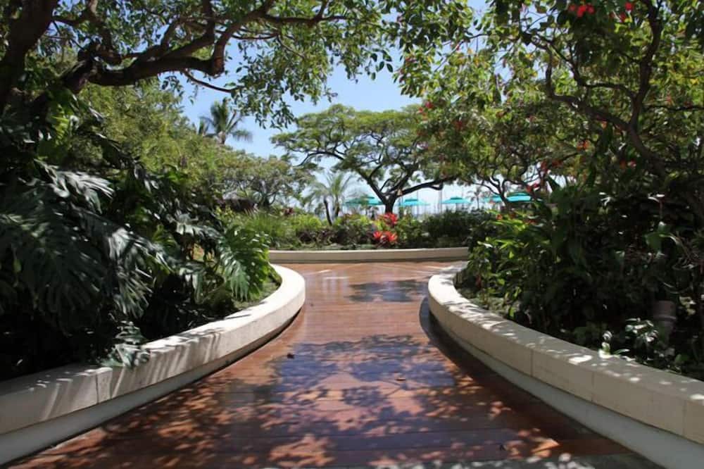 Photo of Outdoor in Waikiki