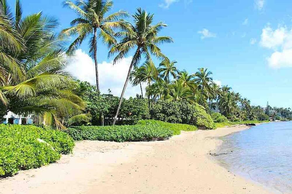Photo of Others in Hawaii Kai