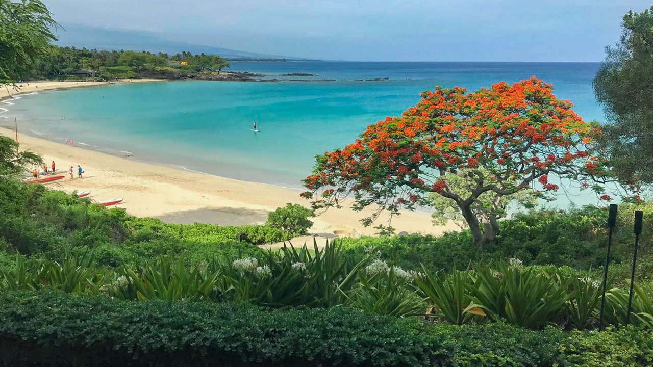 Photo of Others in Kulalani