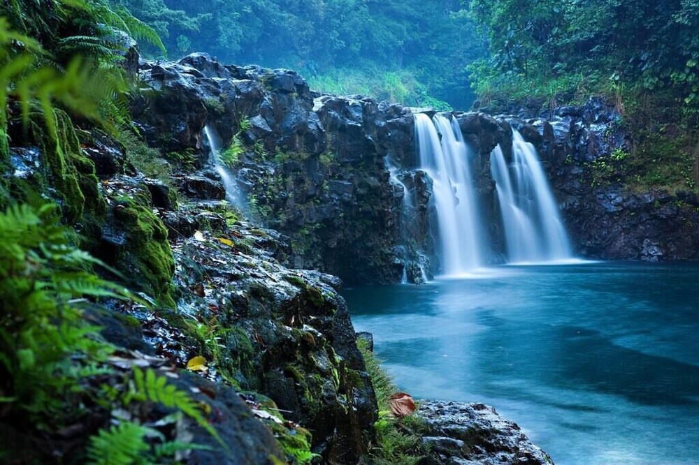 Photo of Others in Hilo