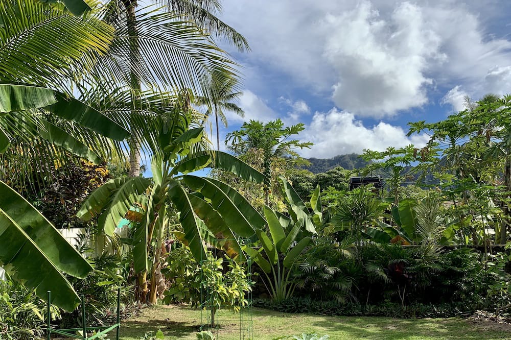 Photo of Outdoor in Waimanalo Beach