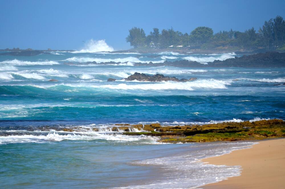 Photo of Others in Waialee