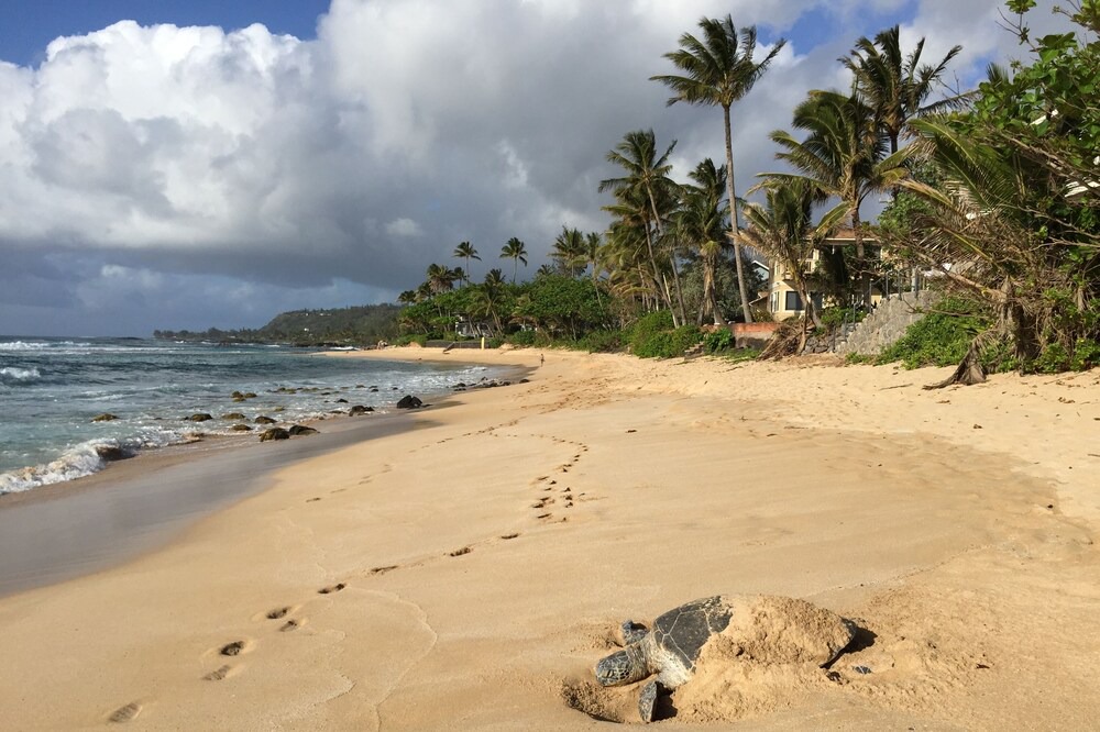 Photo of Others in Waialee
