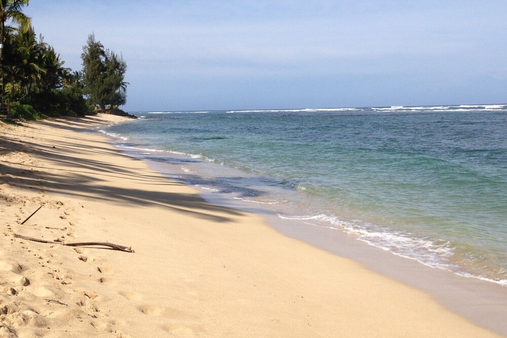 Photo of Others in Waialua