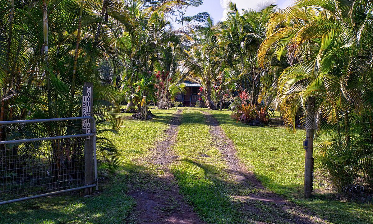 Photo of Outdoor in Keaau