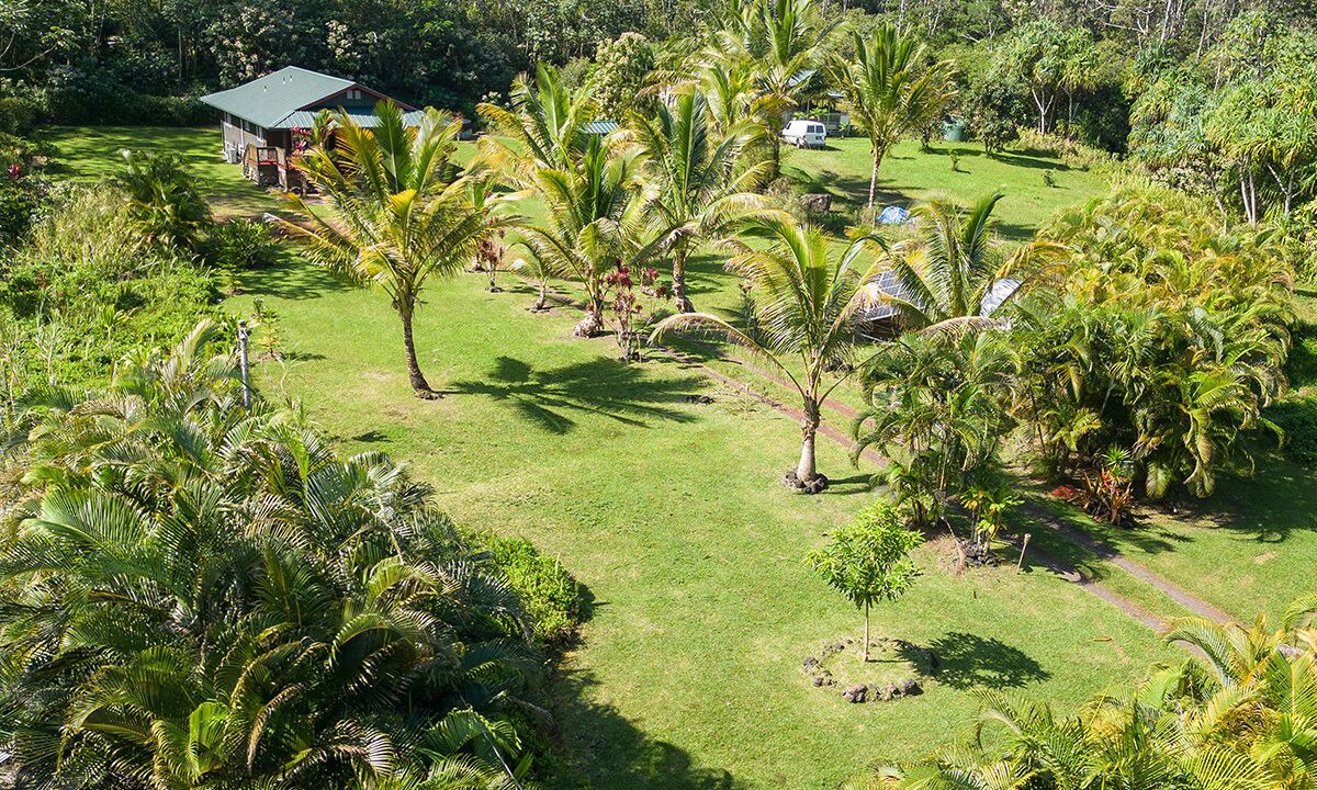 Photo of Outdoor in Keaau