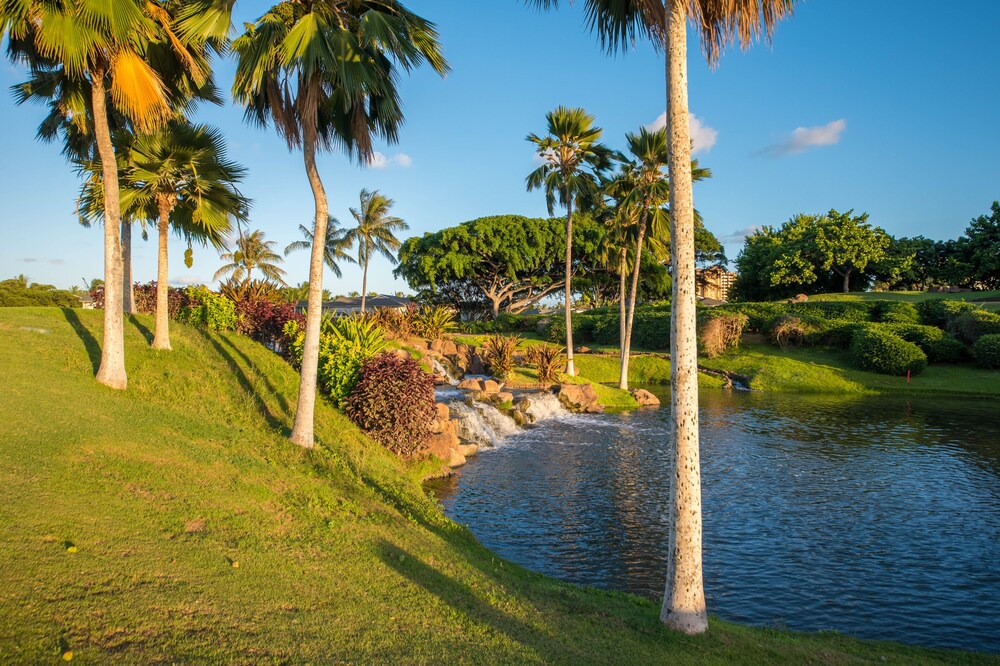 Photo of Others in Ko Olina