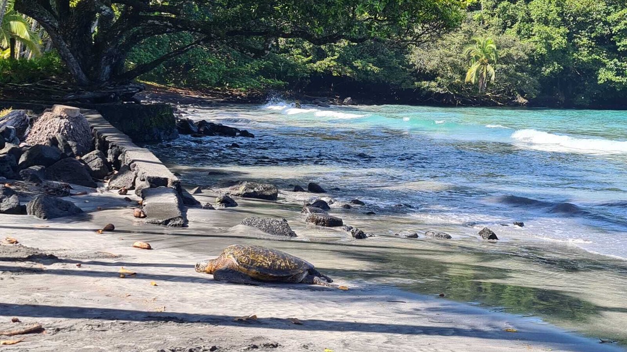 Photo of Others in Kalapana