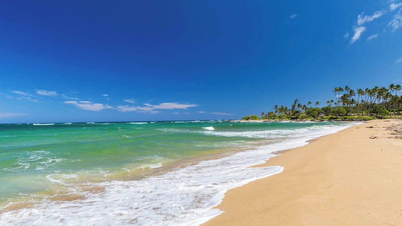 Photo of Others in Wailua