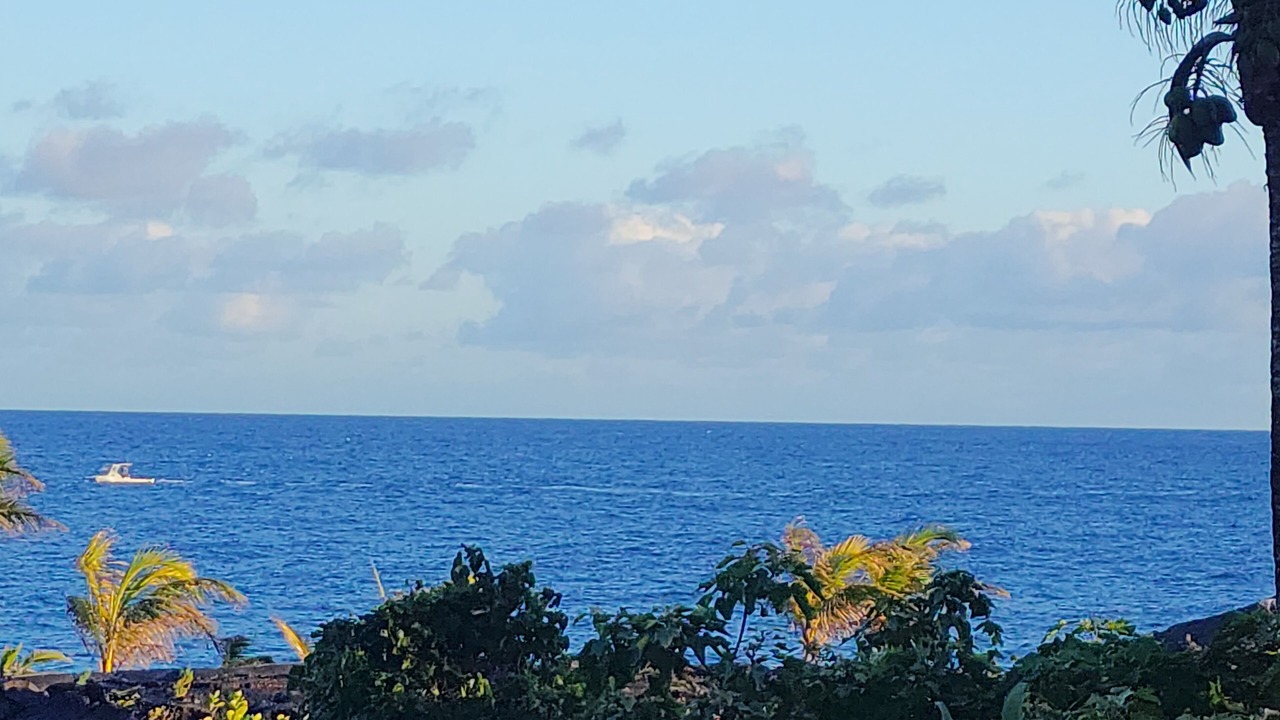Photo of Outdoor in Kalapana
