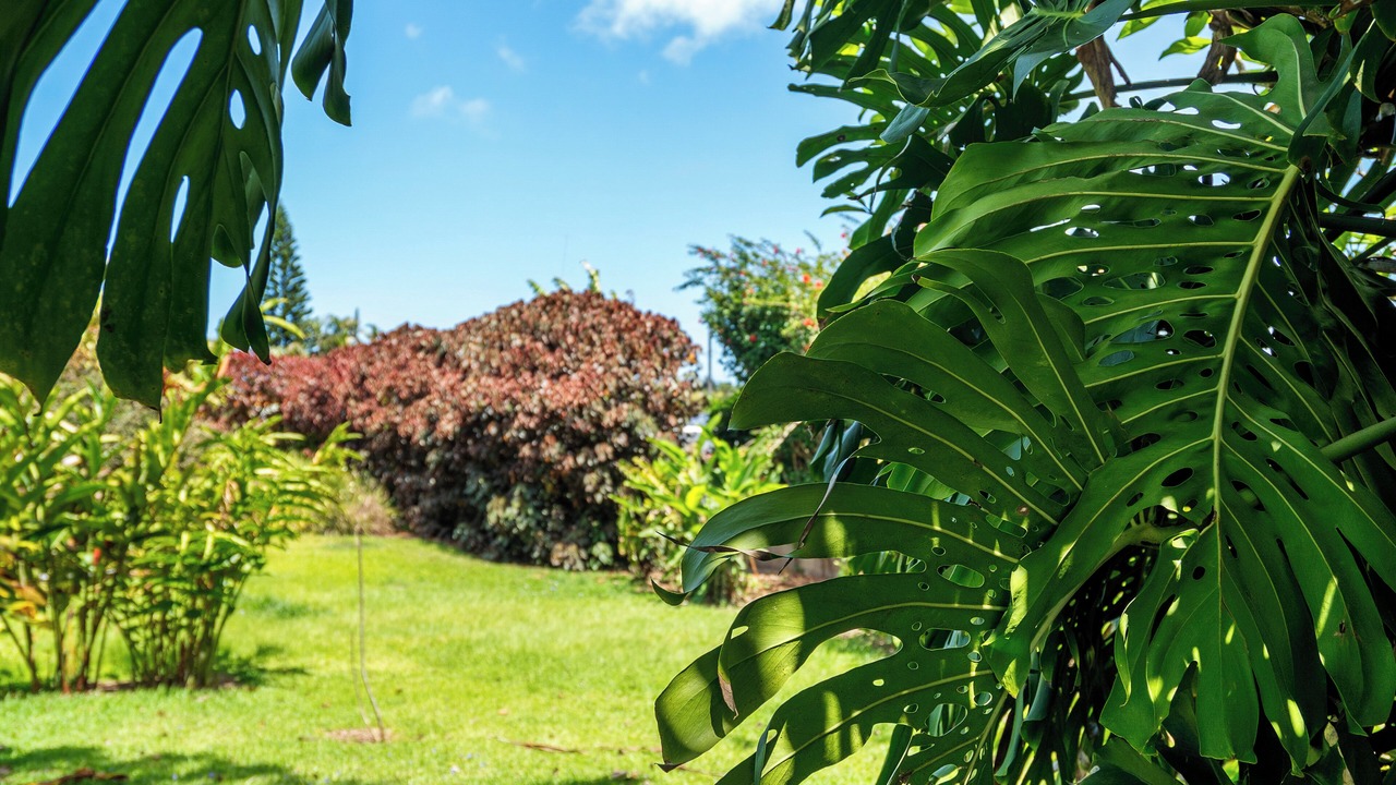 Photo of Others in Haiku