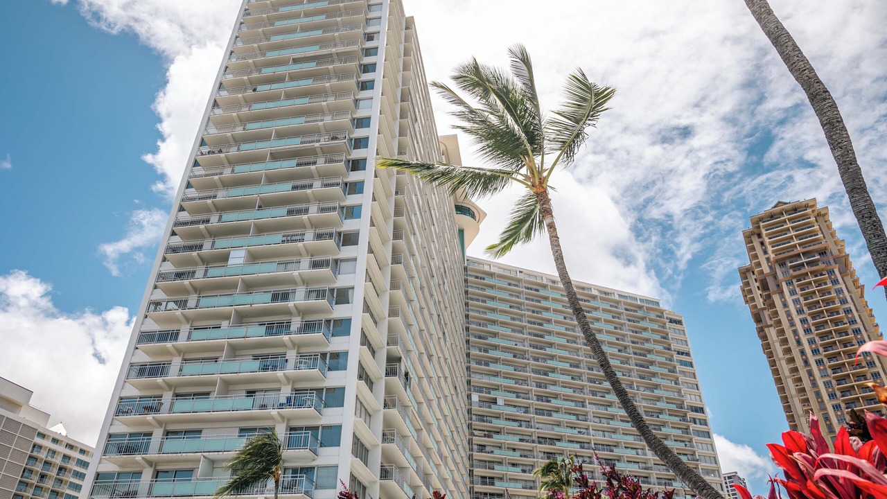 Photo of Outdoor in Waikiki