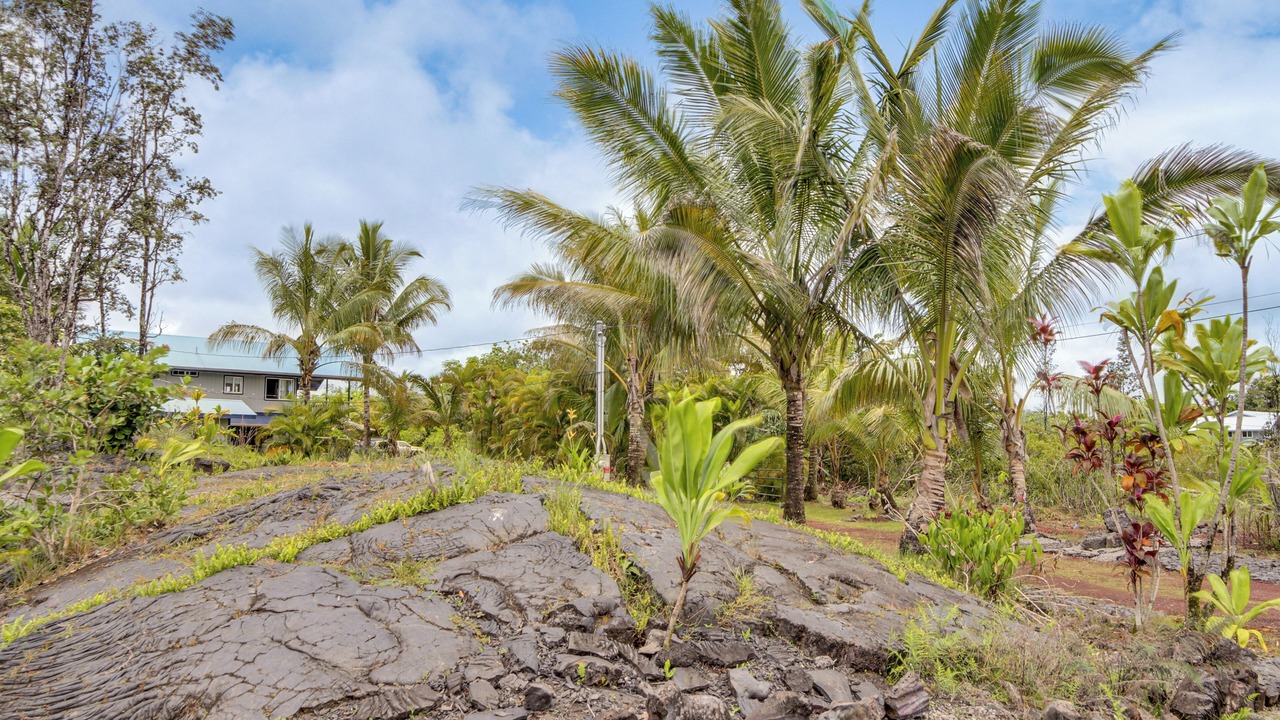 Photo of Outdoor in Keaau